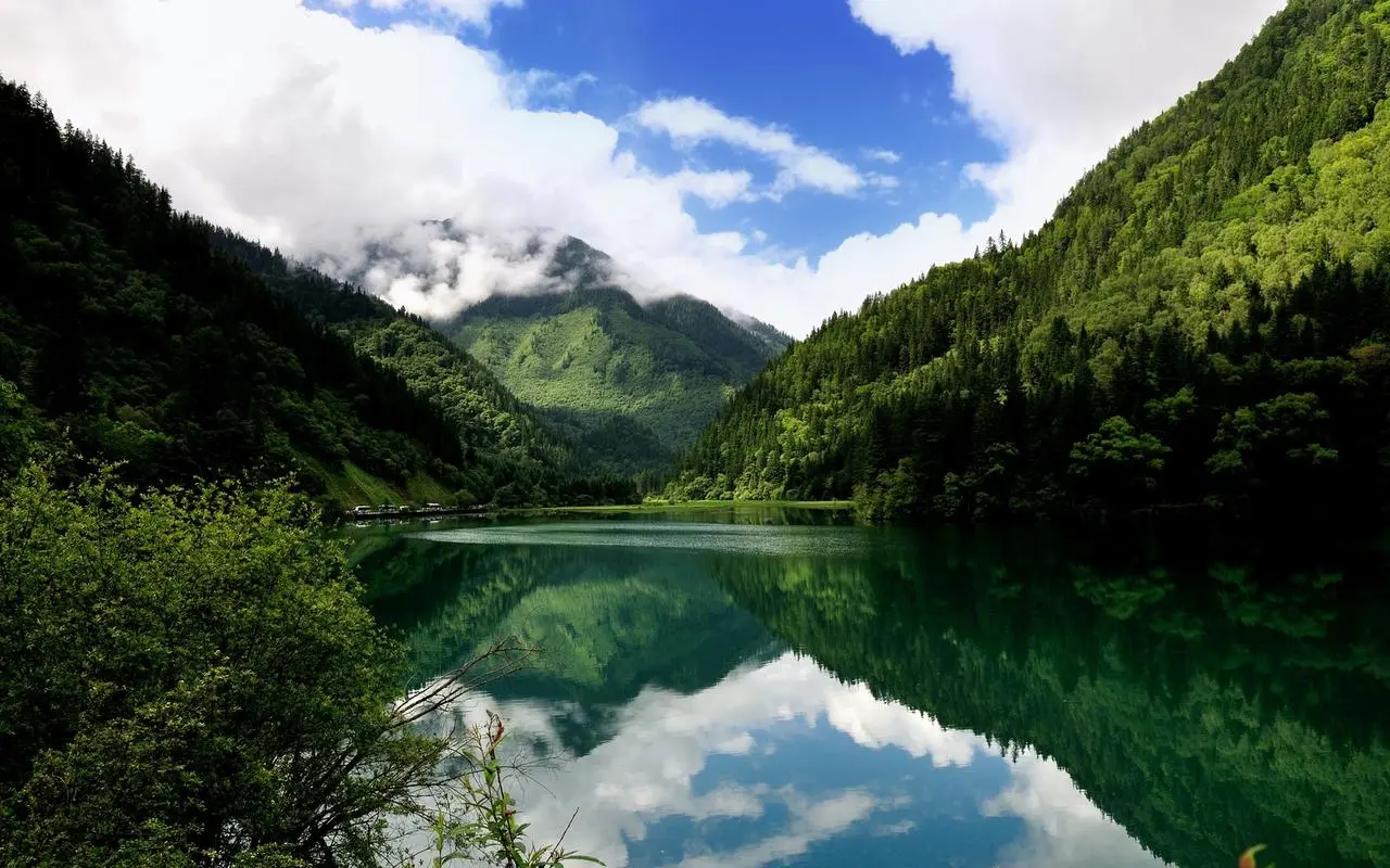 科技高端